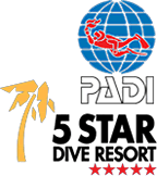 PADI 5 Star Resort Bali