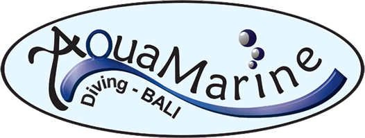 AquaMarine Diving - Bali | Only the Best Diving in Bali!