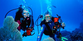 Divers enjoying one day dive trips in Bali