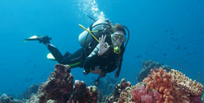 Learn to Dive in Bali - PADI Courses