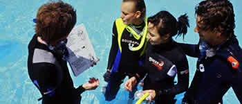 PADI Scuba Refresher Dive Training