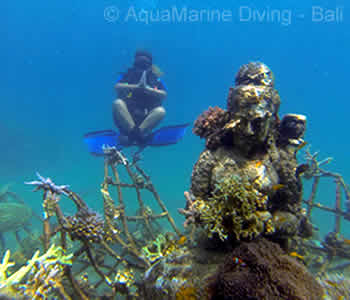 Pemuteran Biorock Artificial Reefs