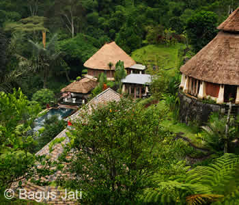 Bagus Jati Resort, Ubud