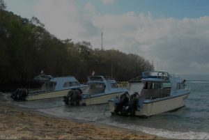 AquaMarine Diving - Bali Custom Made Dive Boats