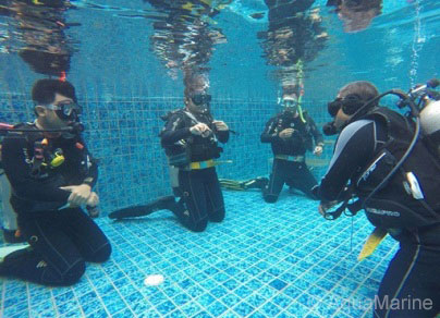 Divemaster Interns during PADI Open Water Dive Pool Training