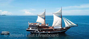 Indonesia-Diving-Deals-Jelajahi-Laut-Liveaboard