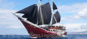 Indonesia-Diving-Deals-The-Seven-Seas-Liveaboard