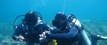 PADI Underwater Navigator Course in Bali