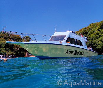Bali Day Dive Trip - AMD-B Boat