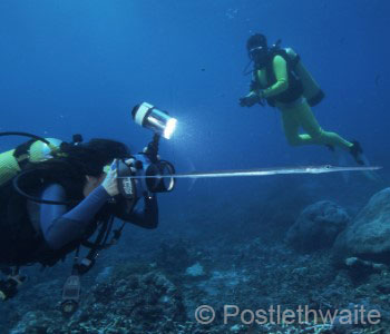 Underwater Photographer Dive Trips