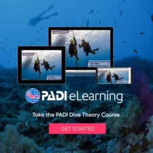 Dive Theory
