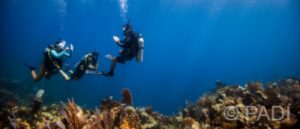 Drift Diver eLearning