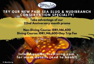 PADI-Sea-Slug-&-Nudibranch-Conservation-Specialty
