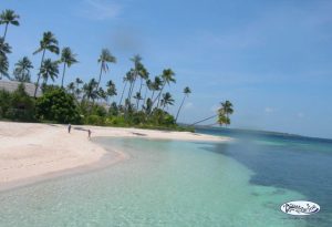 The-beach-at-Wakatobi-Dive-Resort