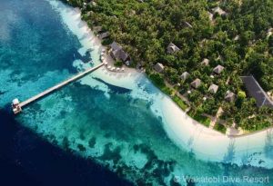 Wakatobi-Dive-Resort