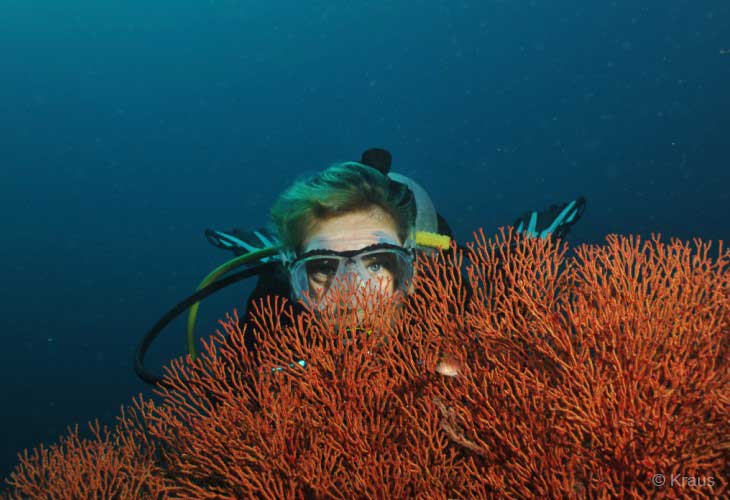 Dive-with-AquaMarine-Diving-Bali