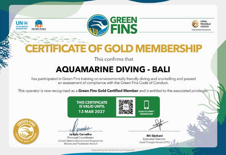 AquaMarine-Green-Fins-Gold-Member