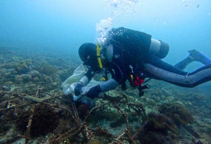 Plastic-Pollution-Removing-the-Entangled-Sack-on-Coral