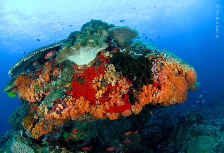 Bali-Beautiful-UW-World