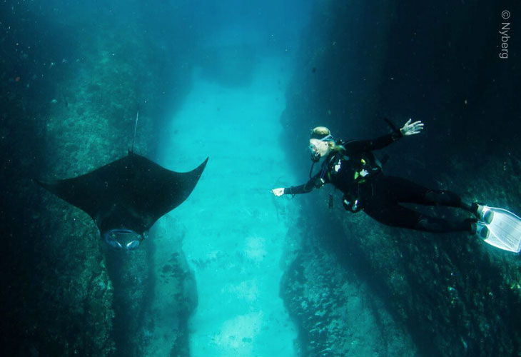 Simple-Tips-for-Diving-in-Bali