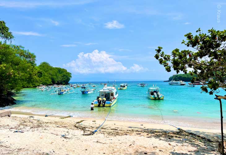 AquaMarine-Diving-Bali-26-Years