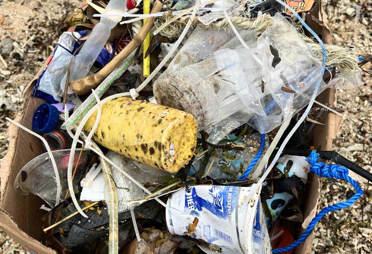 Small-Actions-for-the-Ocean