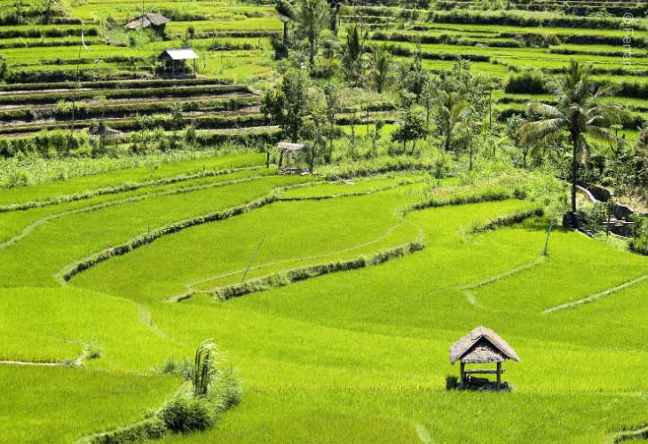 Bali-Gorgeous-Scenery