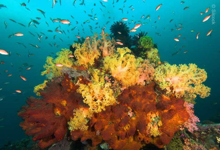 Manta-Point-Nusa-Penida