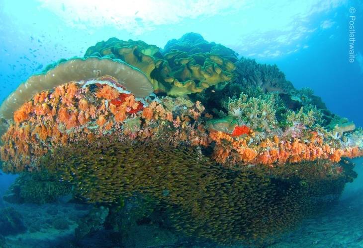 Bali-Underwater