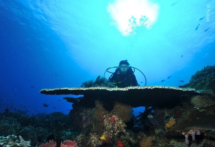 Komodo-Underwater