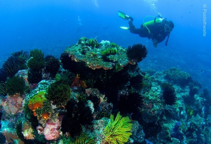 Bali-Diving-for-Beginner