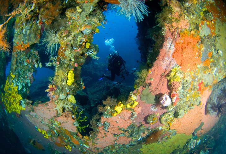 Tulamben-USAT-Liberty-Shipwreck