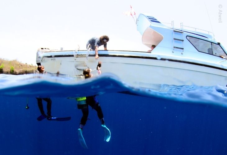 Divers-Half-Ascend