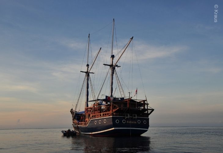Liveaboard-Diving-in-Indonesia
