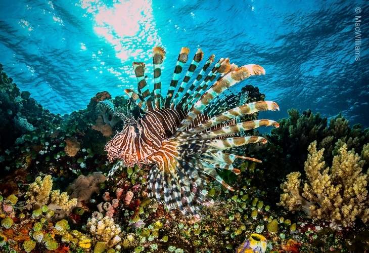 Underwater-World-Not-Rush